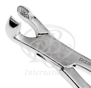 Cekung rahang Molar ekstraksi Forceps 19 inci alat kedokteran gigi kuda fragmen membatalkan rahang Molar ekstraktor gigi kuda - Product Image 2