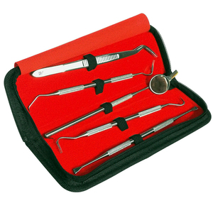 2026 Best Selling Professional Dental Oral Hygiene Kit 5 Tools Deep Cleaning Scaler <b>Teeth</b> Care Set LA ELAHI - Product Image 2