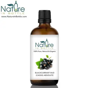 Blackcurrant Bud Essential Oil | Cassis Essential Oil | Ribes Nigrum Flower Oil - Pure Natural Essential Oils - Wholesale Bulk
