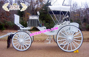 Elegante Victoria caballo turística transporte canadiense Victoria caballos carros fabricación estilo Hollywood Victoria Buugy - Product Image 2