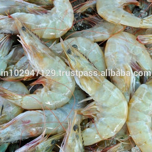 Probióticos para Camarones Vannamei en Vietnam y Filipinas - Product Image 1