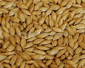 CANARY SEED AND BIRD MIX SEED