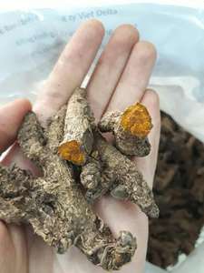 Rebanadas de cúrcuma secas, vegetales secos de Vietnam - Product Image 3