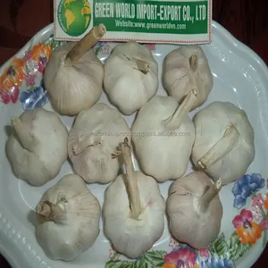 Bawang Putih Segar dari VIETNAM-Kualitas Tinggi-Harga Terbaik