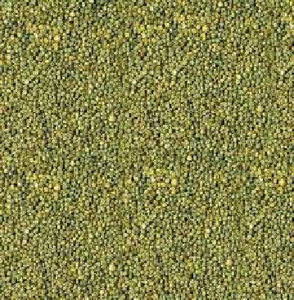 Alimento para animales Green Moong de alta proteína - Product Image 2