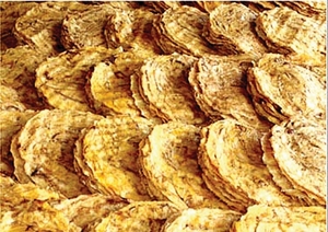 Fruta de plátano seca orgánica más vendida de Vietnam sabor dulce conservación natural bocadillo saludable para adultos y niños - Product Image 3