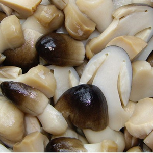 SETA DE SAL ENCURTIDA SETA DE PAJA ALTA CALIDAD 15OZ CADA LATA - Product Image 3