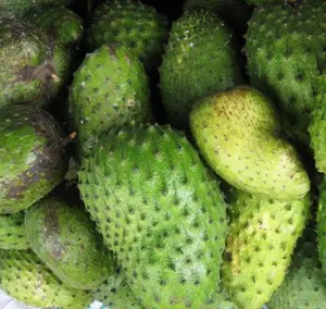 新鲜的graviola- soursop-fursop-fruit fin vetnam 2021/ Whatsapp + 84 845 639 639