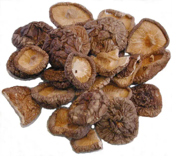 Сушеные/сушеные грибы из Вьетнама (whatsapp: 84 911 585 628)