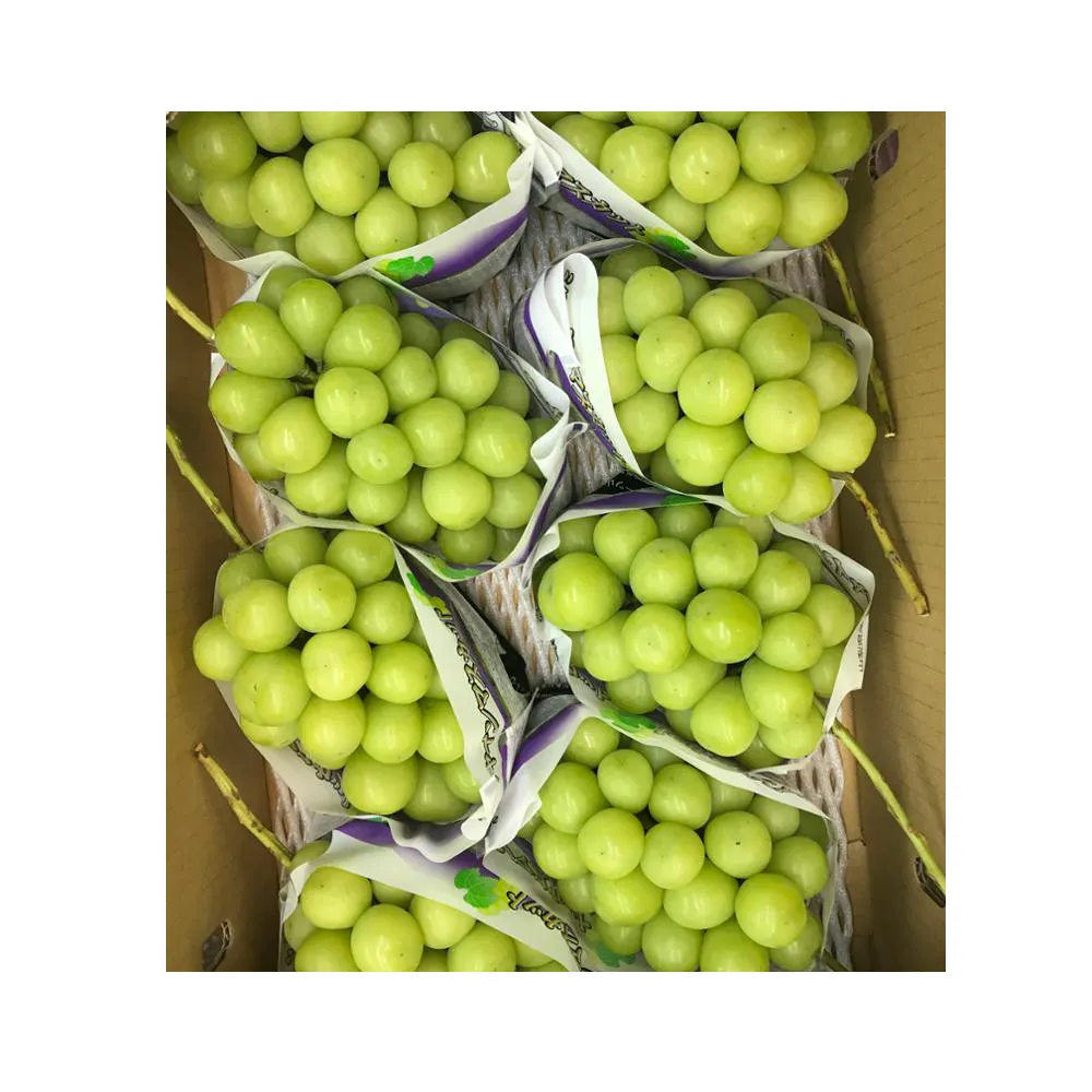 Verse Groene Druiven Fruit En Groente Prijslijst Uit Japan
