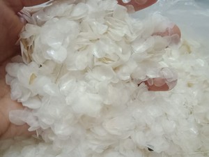 Báscula de pesca de gran calidad, de Vietnam, a buen precio - Product Image 3