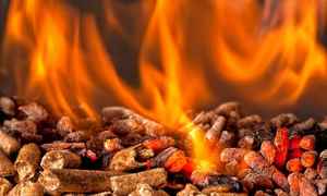 Wholesale Natural Pine <b>Wood</b> <b>Cat</b> <b>Litter</b> Pellets <b>wood</b> pallet - Product Image 6