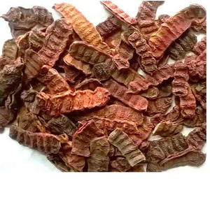 Extracto puro de Shikakai: Precios a granel para soluciones naturales para el cuidado del cabello y la piel, opción de etiquetado privado disponible - Product Image 3