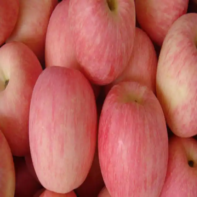 אדום טעים הודי הקשמירי אפל/Himachal אפל/SOPHIYAN תפוחים אדום טעים תפוחים