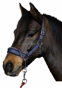 Shemax 2023 Top Quality Hot Selling Equestrian Horse Riding Custom Wholesale 3in1 Control Headcollar <b>Halter</b> with Integral Chain - Product Image 2
