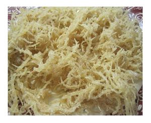 DRIED EUCHEUMA/ COTTONII/ SPINOSUM <b>SEAWEED</b> - Product Image 1