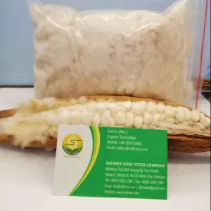 KAPOK FIBER FROM VIETNAM