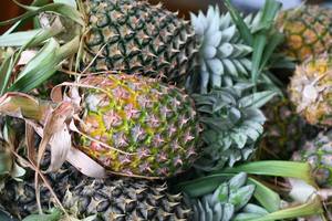 ANANAS FRAIS VIETNAMIEN/OFFRE D'ANANAS FRAIS DU VIETNAM - Product Image 4