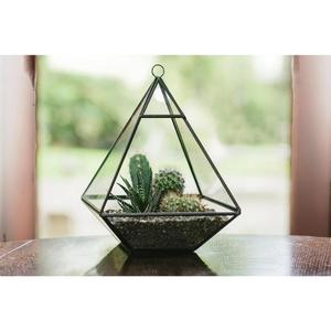 Hanging Geometric Glass Terrarium <b>Plants</b> - Product Image 2