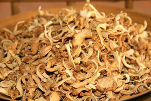 Hot Sale Dried oyster <b>Mushroom</b> - Product Image 2