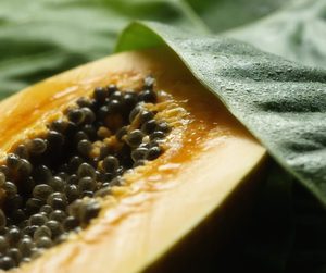 NUECES DE PAPAYA - Nueces de Papaya de Piel Amarilla de Vietnam - Product Image 1