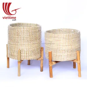 La plantation de jonc de mer avec support en rotin, panier de plante en résine de mer sur jambe, vente en gros, nouveauté 2019 - Product Image 1