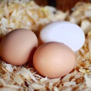 Virutas de madera blanca Premium de 1-15mm en bolsa gigante para ropa de cama de caballos o ganado (suave y cálido) - Product Image 5