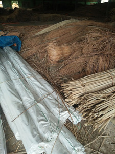 Rattan Peel Natural/Rattan Polish/ Cane Raw - Product Image 3