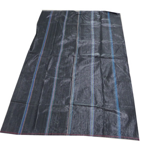 Bolsa Tejida de Polipropileno HOA HA Vietnam Hoaha para Empacar 50 kg de Alta Calidad - Product Image 2