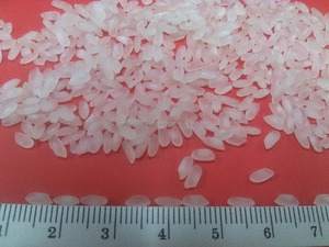 VIETNAM RIZ-Camolino égyptien Riz Calrose Grains moyens 5% huile brisée poli Riz rond à grain court Riz Riso Arroz- ANNA DO - Product Image 2