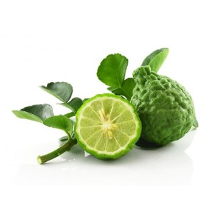 Huile Essentielle Pure de Bergamote Pressée à Froid d'Italie pour la Fabrication de Bougies – Prix en Gros, Matière Première issue de Peaux de Citron - Product Image 4
