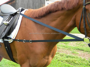 Australiano de silla de montar a caballo - Product Image 3