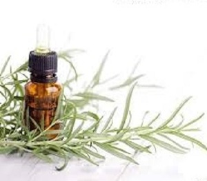 Huile essentielle de romarin pur de haute qualité fabriquée en Inde - Product Image 1