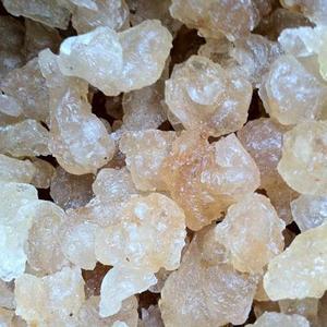 หมากฝรั่ง Sterculia สำหรับผู้ซื้อ - Product Image 1