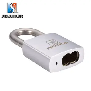 Cadenas en laiton à noyau interchangeable à cylindre amovible de type 8 - Product Image 2