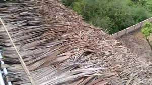 Feuille de palmier vietnamien 84587176063, matériel sur le toit, imitation sable, offre spéciale - Product Image 6