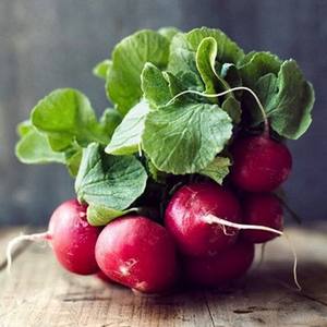 หัวไชเท้าเวียดนามสีแดง/สดหัวไชเท้าสีแดง/WhatsApp + 84845 639639 - Product Image 5