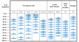 BlueAQUA_10-180 kstained a retintado rotein arker Adder (a granel, disponible), 250ustained x 2/paquete, absorción de gel - Product Image 3