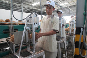 Bonbon au lait de coco/Durian au lait de coco/Bonbon au lait sucré en 2024 - Product Image 4