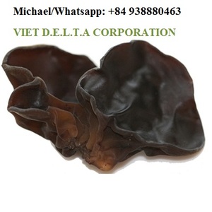 HONGOS NEGROS 100% NATURALES 2024 - Product Image 3