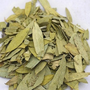 Feuilles entières de séné 100 % pures et naturelles |   Feuilles écrasées |   Couleur verte |   Poudre d'extrait de séné - Product Image 1