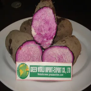 FRESH PURPLE YAM FROM VIETNAM  BEST QUALITY FROM VIETNAM