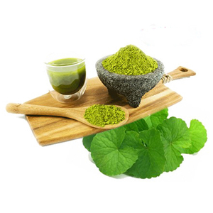 บริสุทธิ์ CENTELLA/GOTU KOLA ผงที่มีคุณภาพสูง - Product Image 5