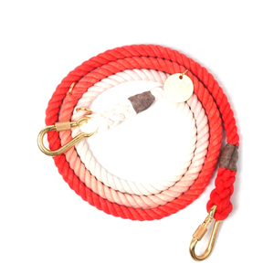 Handmade Large Pet Leash Attractive Colorful Braided Cotton <b>Rope</b> Luxury Customized Training Gear Gold Brass <b>Lace</b> Accessories for - Product Image 5