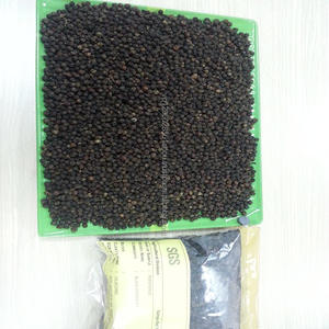 Pimienta negra seca 100% de alta calidad de Vietnam Procesamiento crudo Buen precio y buen servicio Comuníquese con Jane Lee + 84 968 234 538 - Product Image 2