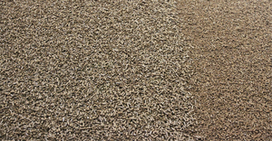 Charbon de bouleau Vente en gros Briquette de bois naturel Cuisson Barbecue BBQ Bois dur Charbon Briquettes de bois - Product Image 3