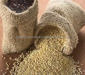 Fruta Quinoa a granel, a la venta - Product Image 4