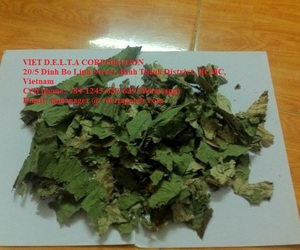LEAVES_TEA LEAF_LOTUS บัวอบแห้งจากเวียดนาม - Product Image 5