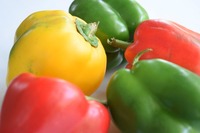 Pimientos Frescos Premium para Exportación – Pimientos Dulces Rojos, Amarillos y Verdes