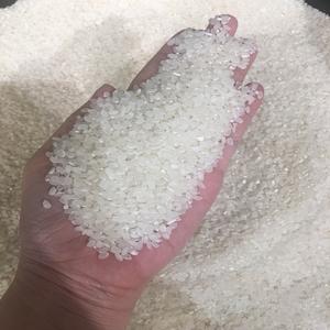 Cultivo de arroz redondo japonés fragante de alta calidad-vietnamita 5kg 10kg 20kg 5lb 10lb 20lb 5% roto 5% roto/ANNA DO VILACONIC - Product Image 1